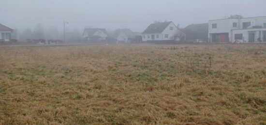 Terrain à bâtir à , Haut-Rhin