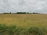 Terrain à bâtir à Neuville-sur-Sarthe (72190) 2453337-6170annonce120260311GAeBF.jpeg Maisons France Confort