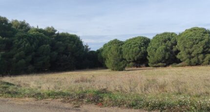 Autignac Maison neuve - 2395444-11018annonce120260116oWT9W.jpeg Maisons France Confort