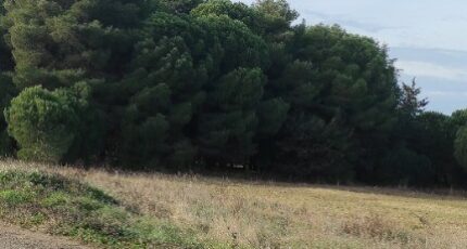 Autignac Maison neuve - 2395444-11018annonce220260116mX5E9.jpeg Maisons France Confort