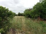 Maison à construire à Bragayrac (31470) 2463430-9555annonce120260320xgKTO.jpeg Maisons France Confort