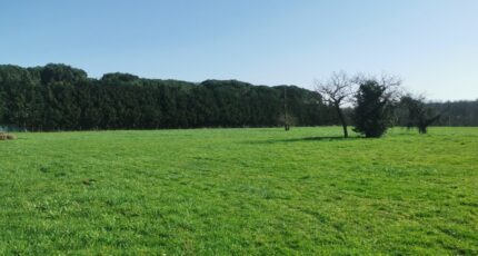 Coimères Terrain à bâtir - 2465290-9573annonce120260324MHbvR.jpeg Maisons France Confort