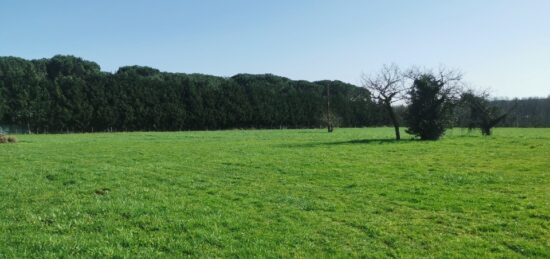 Terrain à bâtir à Coimères, Nouvelle-Aquitaine