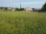 Terrain à bâtir à Fabrezan (11200) 2429963-10986annonce12025070387o3E.jpeg Maisons France Confort