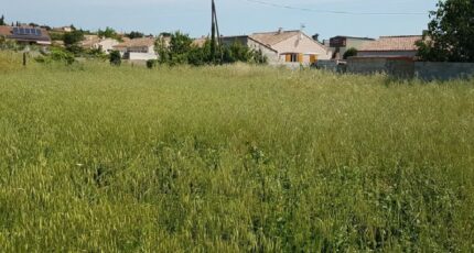 Fabrezan Terrain à bâtir - 2429963-10986annonce12025070387o3E.jpeg Maisons France Confort