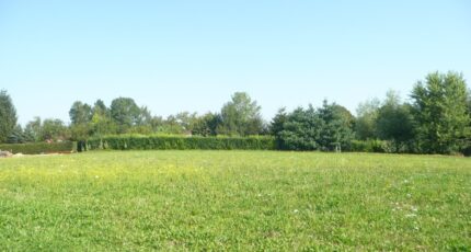 Chevroux Maison neuve - 2391843-754annonce220260113PmCB1.jpeg Maisons France Confort