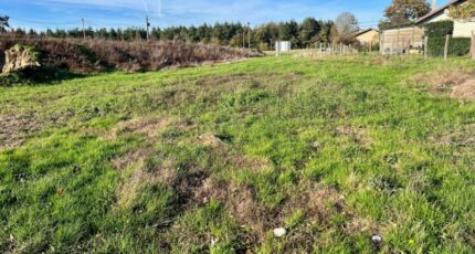 Attignat Terrain à bâtir - 2397549-754annonce120260119laTBo.jpeg Maisons France Confort