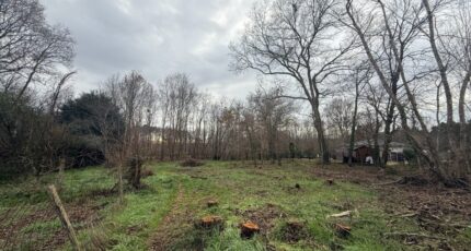 Saint-Selve Terrain à bâtir - 2461140-11689annonce1202602243fovk.jpeg Maisons France Confort