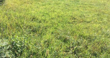 Péronnas Maison neuve - 2397691-754annonce120260119trCcf.jpeg Maisons France Confort