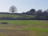 Maison à construire à Merville (31330) 2466213-5202annonce120260324mSddl.jpeg Maisons France Confort