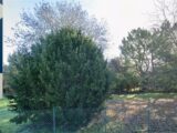 Terrain à bâtir à Échillais (17620) 2466622-11194annonce120260325NaCRN.jpeg Maisons France Confort