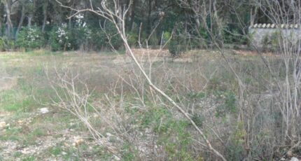 Lattes Maison neuve - 2467348-3243annonce120260325USvKL.jpeg Maisons France Confort