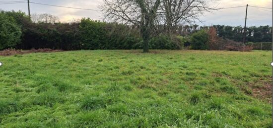 Terrain à bâtir à La Force, Nouvelle-Aquitaine