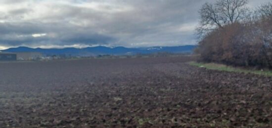 Terrain à bâtir à Bischwihr, Grand Est