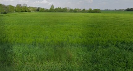 Schlierbach Maison neuve - 2437571-11139annonce12026022306KAZ.jpeg Maisons France Confort