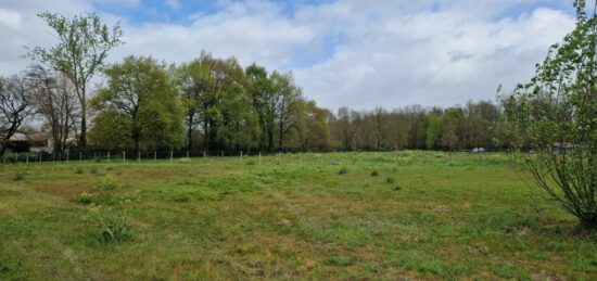 Terrain à bâtir à , Gironde