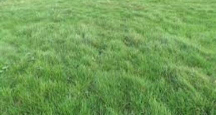 Courances Terrain à bâtir - 2468001-7255annonce120260326zvTK6.jpeg Maisons France Confort