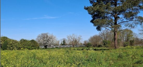 Terrain à bâtir à Saint-Pierre-d'Eyraud, Nouvelle-Aquitaine