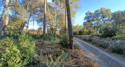 Trans-en-Provence Terrain à bâtir - 2469877-9911annonce1202603276e15r.jpeg Maisons France Confort