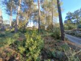 Terrain à bâtir à Trans-en-Provence (83720) 2469877-9911annonce220260327OS2Fq.jpeg Maisons France Confort
