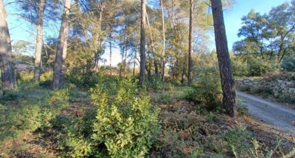 Trans-en-Provence Terrain à bâtir - 2469877-9911annonce220260327OS2Fq.jpeg Maisons France Confort