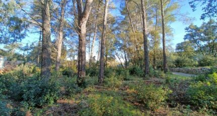 Trans-en-Provence Terrain à bâtir - 2469877-9911annonce320260327W4H0O.jpeg Maisons France Confort