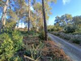 Maison à construire à Trans-en-Provence (83720) 2469888-9911annonce1202603276e15r.jpeg Maisons France Confort