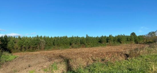 Terrain à bâtir à Auros, Nouvelle-Aquitaine
