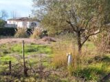 Terrain à bâtir à Pibrac (31820) 2469193-9555annonce120260327sdkcG.jpeg Maisons France Confort