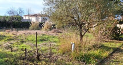 Pibrac Terrain à bâtir - 2469193-9555annonce120260327sdkcG.jpeg Maisons France Confort