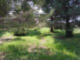 Maison à construire à Saint-Jean-de-Fos (34150) 2471894-11040annonce120260330Pvdrh.jpeg Maisons France Confort
