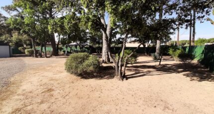 Vidauban Terrain à bâtir - 2471945-10295annonce120250619wI7OG.jpeg Maisons France Confort