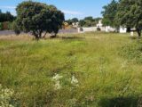 Terrain à bâtir à Avignon (84000) 2472099-695annonce220260331b8UrO.jpeg Maisons France Confort
