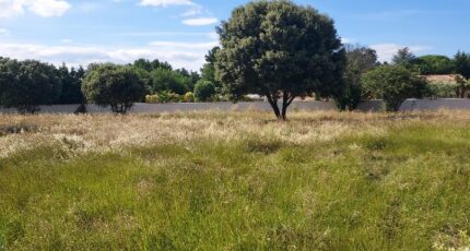 Avignon Terrain à bâtir - 2472099-695annonce420260331SPyFh.jpeg Maisons France Confort