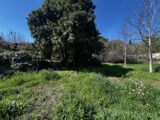 Terrain à bâtir à Flayosc (83780) 2472727-4529annonce120260331JINAG.jpeg Maisons France Confort