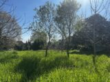 Terrain à bâtir à Flayosc (83780) 2472727-4529annonce320260331e4W4i.jpeg Maisons France Confort