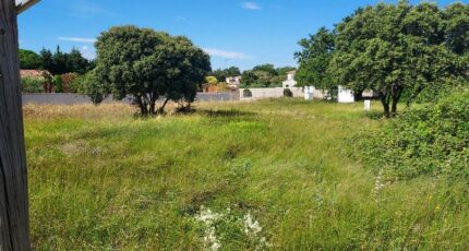 Sorgues Terrain à bâtir - 2472842-695annonce120260331EDgJT.jpeg Maisons France Confort