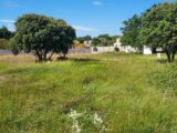 Maison à construire à Sorgues (84700) 2472848-695annonce120260331EDgJT.jpeg Maisons France Confort