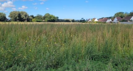 Nortkerque Terrain à bâtir - 2413775-1587annonce220260130vktLm.jpeg Maisons France Confort