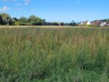 Maison à construire à Nortkerque (62370) 2413803-1587annonce220260130vktLm.jpeg Maisons France Confort