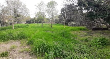 Flayosc Terrain à bâtir - 2473284-10295annonce120260401sp0hv.jpeg Maisons France Confort