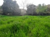 Terrain à bâtir à Flayosc (83780) 2473284-10295annonce220260401F3Cb5.jpeg Maisons France Confort