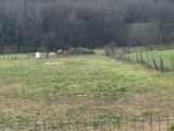 Terrain à bâtir à Cardan (33410) 2395088-3601annonce120260116vEOgd.jpeg Maisons France Confort