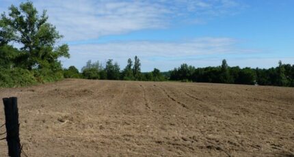 Beychac-et-Caillau Terrain à bâtir - 2393009-3601annonce120260114dbfw4.jpeg Maisons France Confort