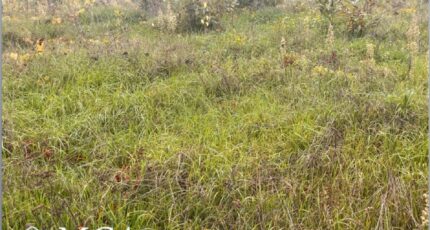 Podensac Terrain à bâtir - 2473755-3601annonce120260401qBzpD.jpeg Maisons France Confort