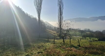 Saint-Pierre-de-Soucy Terrain à bâtir - 2435106-10223annonce120260219SuT7T.jpeg Maisons France Confort