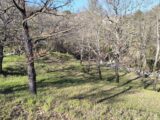 Terrain à bâtir à Montferrat (83131) 2473736-10295annonce320260401nns0u.jpeg Maisons France Confort