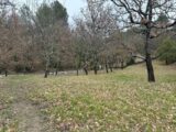 Maison à construire à Montferrat (83131) 2473762-10295annonce220260401uw7CL.jpeg Maisons France Confort