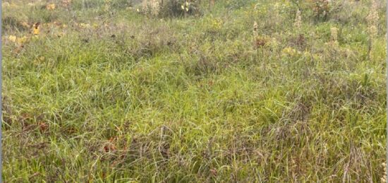 Maison neuve à , Gironde