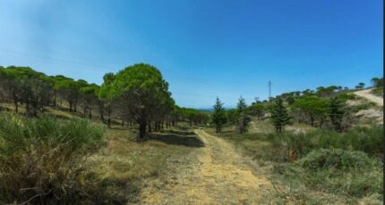 Narbonne Terrain à bâtir - 2473385-11782annonce220260401duL3W.jpeg Maisons France Confort